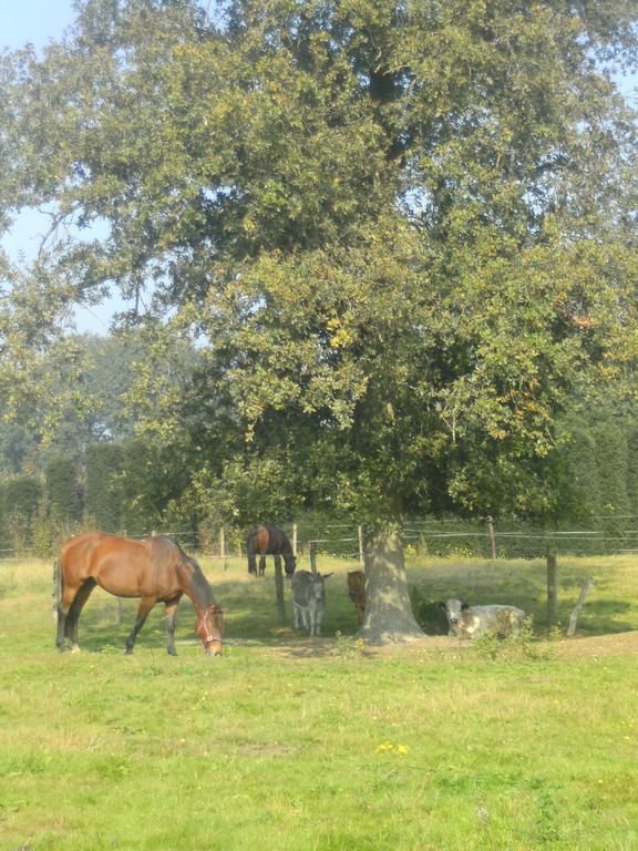 Farm Stay Luythoeve Meeuwen Eksteriør billede