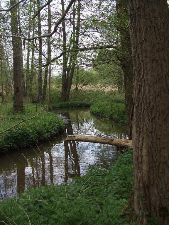 Farm Stay Luythoeve Meeuwen Eksteriør billede