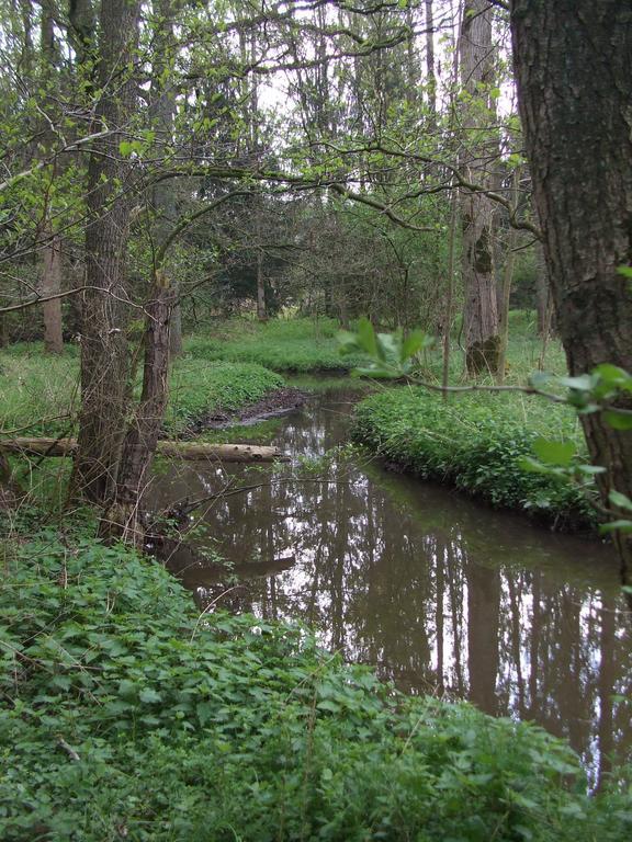 Farm Stay Luythoeve Meeuwen Eksteriør billede